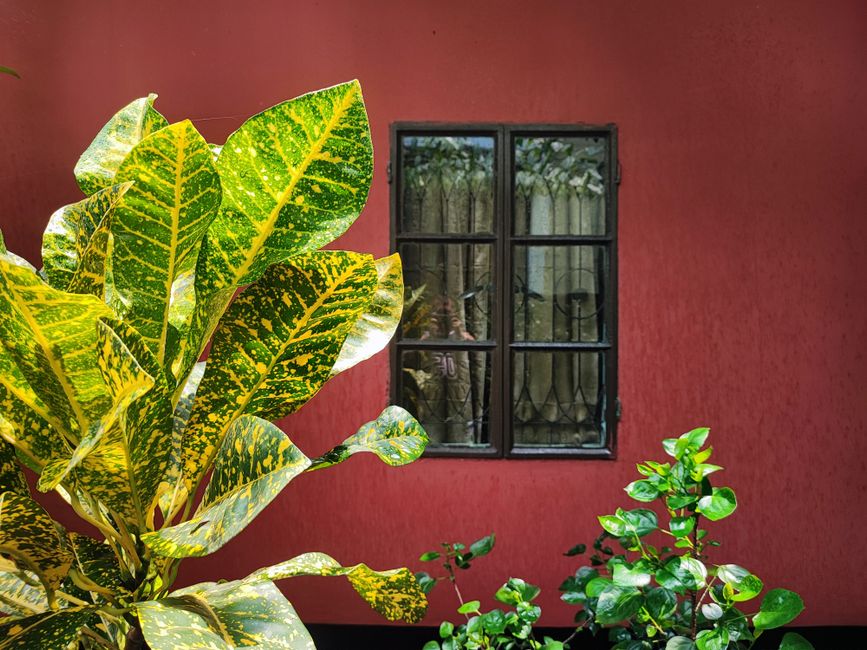 A red painted wall with a window